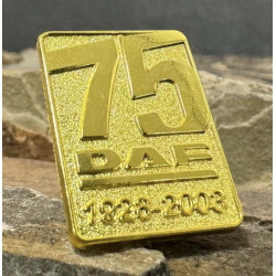 PIN DAF 75 YEARS - PIN 174