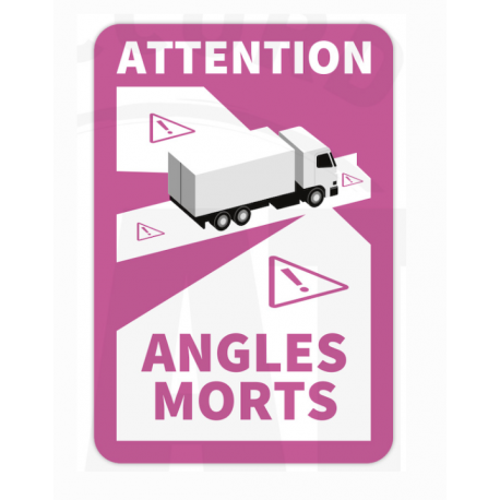 ANGLE MORT MAGNÉTIQUE ROSE ANGLE MORT MAGNÉTIQUE ROSE