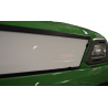 ENSEIGNE LUMINEUSE EXTRA PLATE SCANINA NG ECLAIRAGE ORANGE