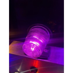 AMPOULE BA15 ROSE - 9/32V