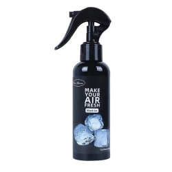 Spray d'ambiance black ice