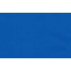 Stickers Losange Griffon Scania