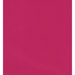 Stickers Losange Griffon Scania