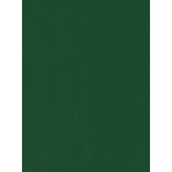 Stickers Losange Griffon Scania