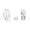 Lot Ampoules 24V T10 W5W