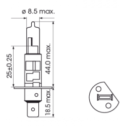 Ampoule H1 100W 24V