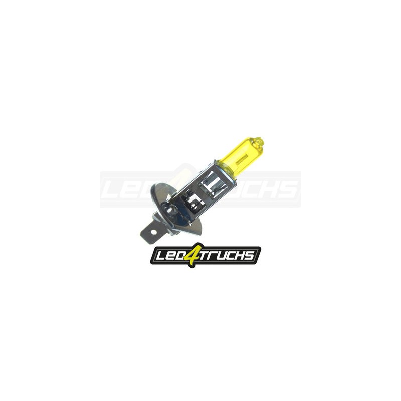 H1 - JAUNE - HALOGEN - 24V 70W