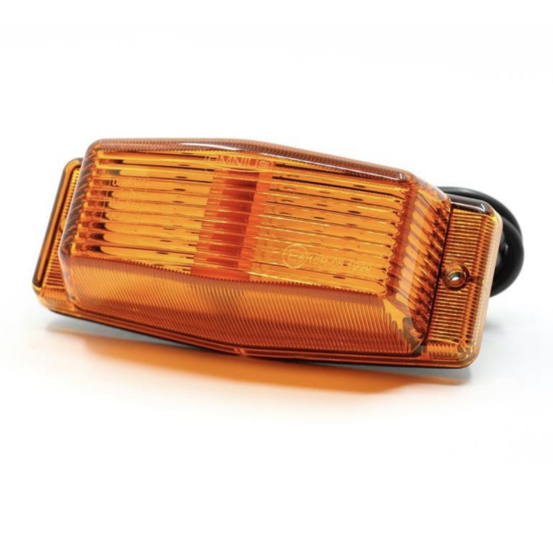 Double-Ampoules à LED Orange