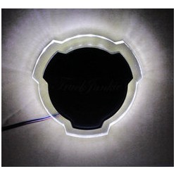 SEUL EMBLÈME ILLUMINÉ - BLANC XENON - ADAPTÉ POUR SCANIA