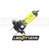 AMPOULE H7 - JAUNE - HALOGENE - 24V - 70W