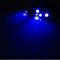 Lot de 5 Leds Intérieur de Cabine Bleu