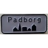 PINS PADBORG - N°17