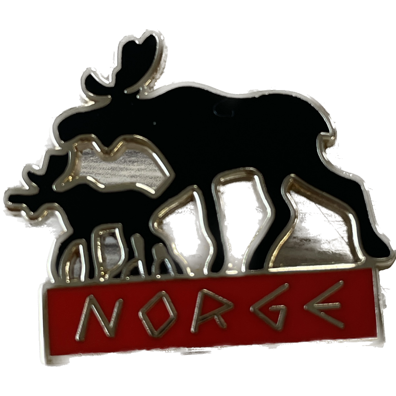 PINS ÉLAN NORGE - N°74