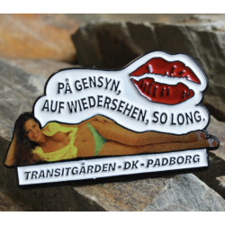 PINS TRANSITGARDEN PADBORG N°105