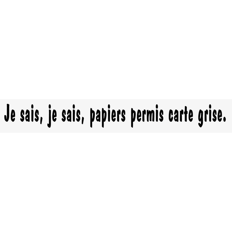 STICKERS JE SAIS JE SAIS PAPIERS PERMIS CARTE GRISE STICKERS JE SAIS JE SAIS PAPIERS PERMIS CARTE GRISE