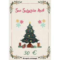 SAC SURPRISE NOËL