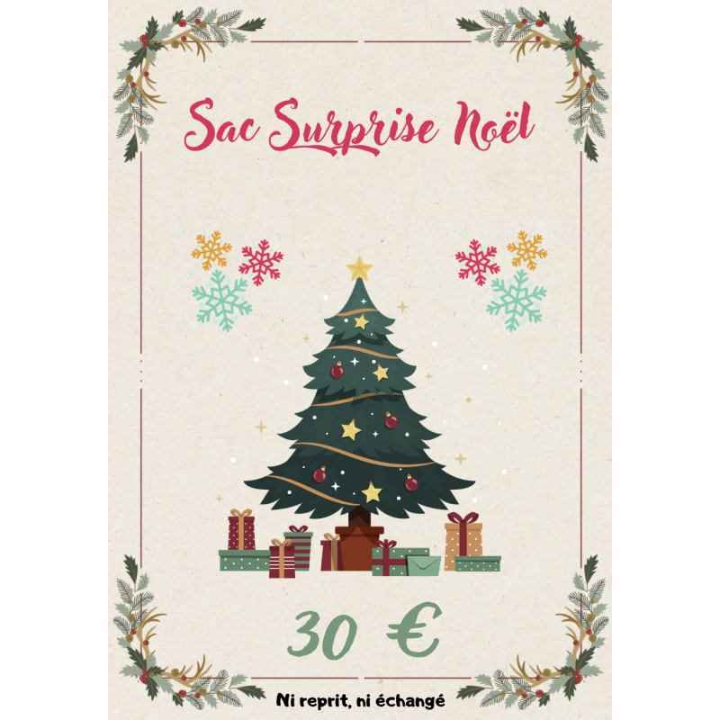 SAC SURPRISE NOËL