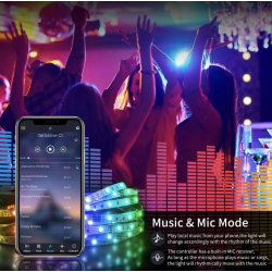 Ruban led multicolore - 5m - 24V