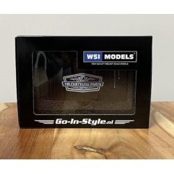 WSI 20FT CONTAINER GO-IN-STYLE (SCHAAL 1:50)