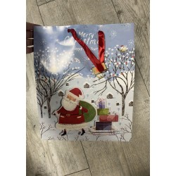 BOX NOËL DAF