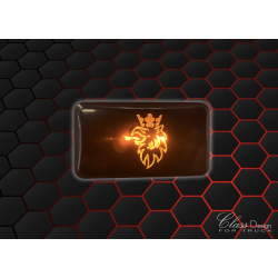 Caches feux de carénages Griffon