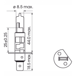 Ampoule H1 100W 24V