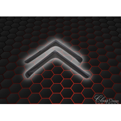 Déflecteurs de vitres DAF XF95 / 105