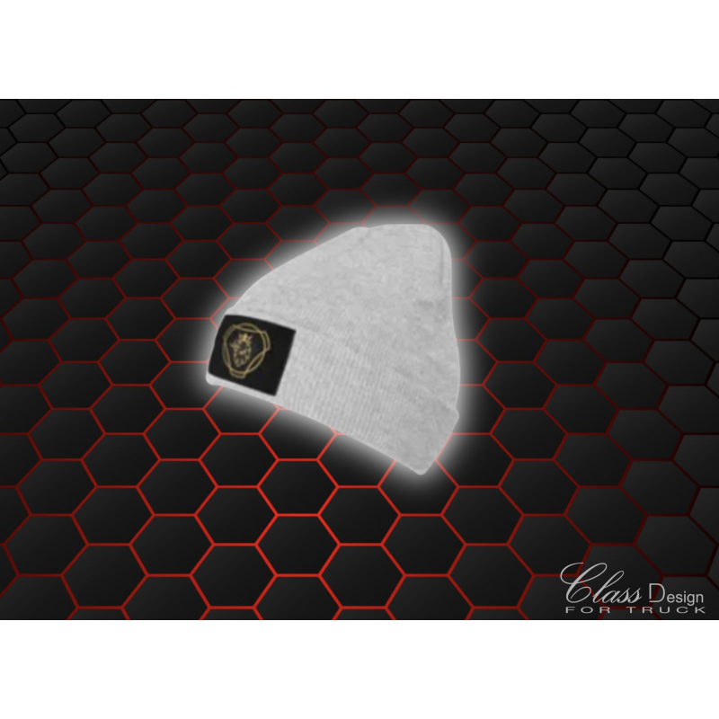 BONNET SCANIA VABIS GRIS