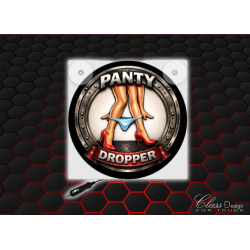 ENSEIGNE LUMINEUSE PANTY DROPPER