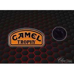 PIN'S CAMEL TROPHY - 209