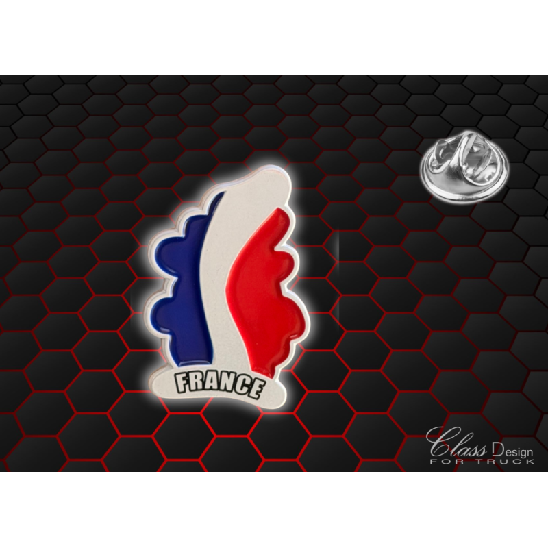 PIN'S FRANCE - 225