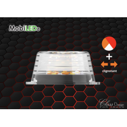 Module Led - Blanc/Orange/Rouge + clignotant