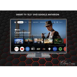 Smart TV LED HD 48 cm 18,5 pouces