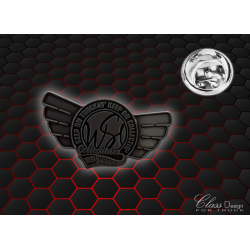 PIN'S WSI MODELS COLLECTOR