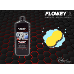 Car Shampoo