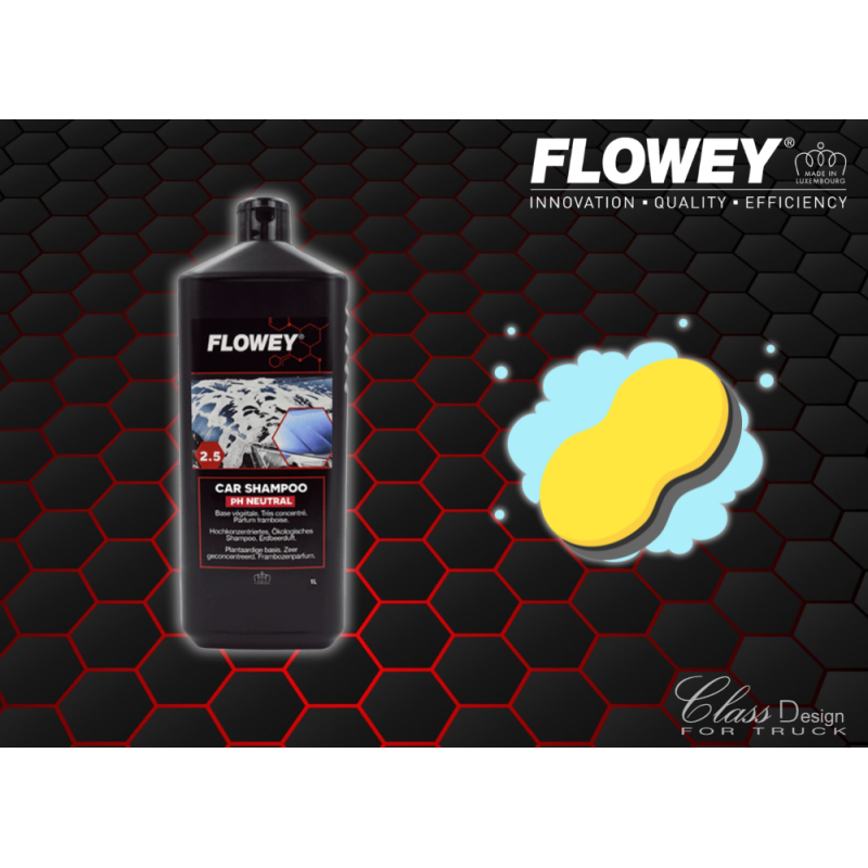 Car Shampoo