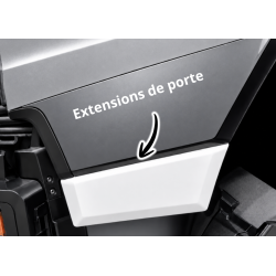 Extensions de portes SCANIA NG S