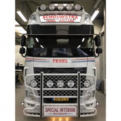 Pare Perroquet DAF XF106 25cm