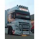 Pare Perroquet DAF XF106 25cm