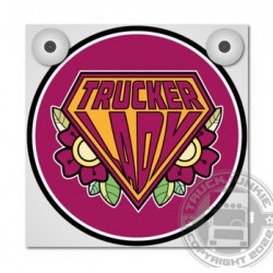 TRUCKER LADY - ROSES - ENSEIGNE LUMINEUSES