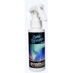 SPRAY NORTHERN LIGHTS - 100 ML