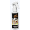 SPRAY CANNELLE ORANGE - 100 ML