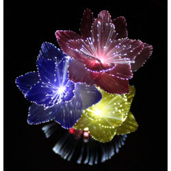 FLEUR ILLUMINÉE MULTICOULEUR