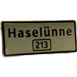 PINS HASELÜNNE