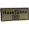 PINS HASELÜNNE