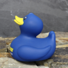 CANARD - DUCK SWEDEN