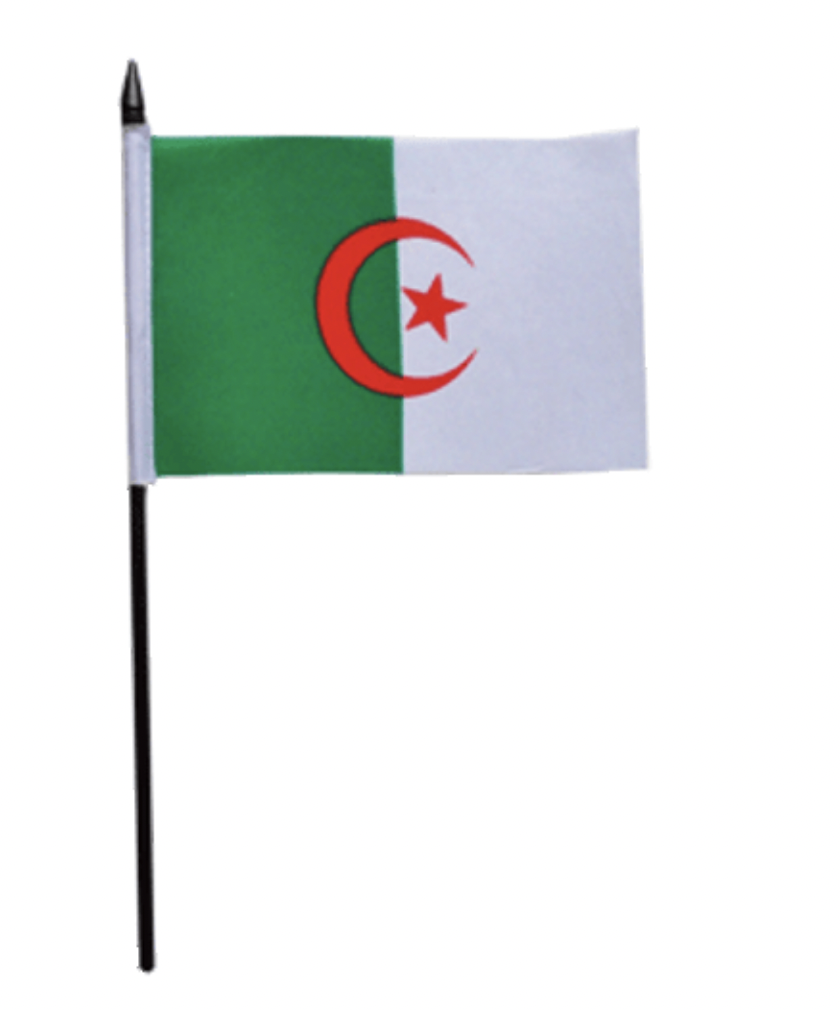 Mini drapeau Algérie