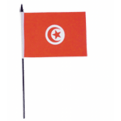 MINI DRAPEAU TURQUIE - 15X10cm