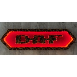 FOND DE CABINE DAF OLD DANOIS JAUNE / NOIR - ROUGE - 12V