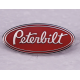 PINS PETERBILT - N°137